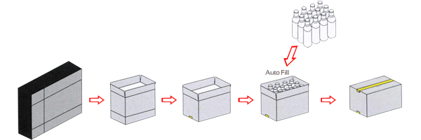 carton filling machine